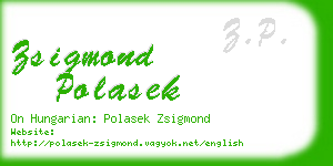 zsigmond polasek business card